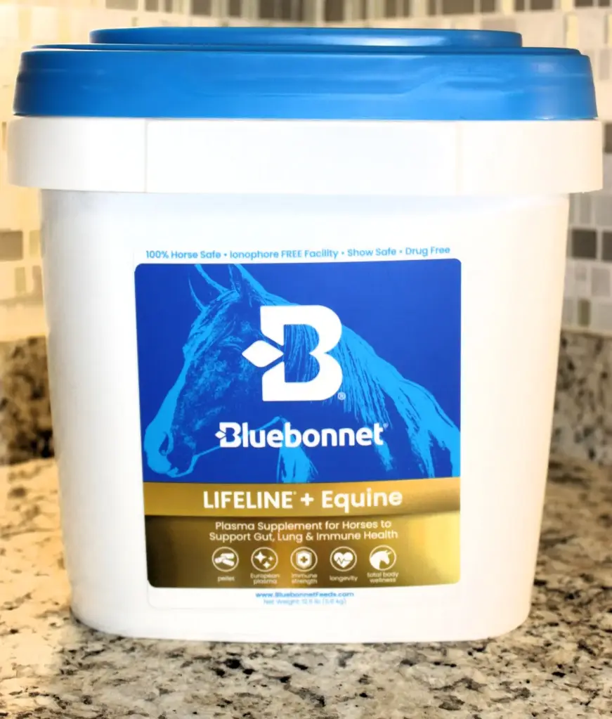 Bluebonnet Lifeline & Equine