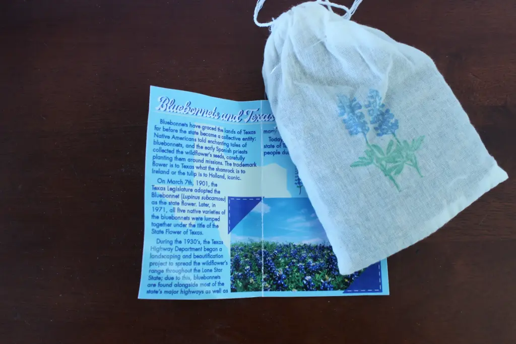 Bluebonnet 4 oz Seed