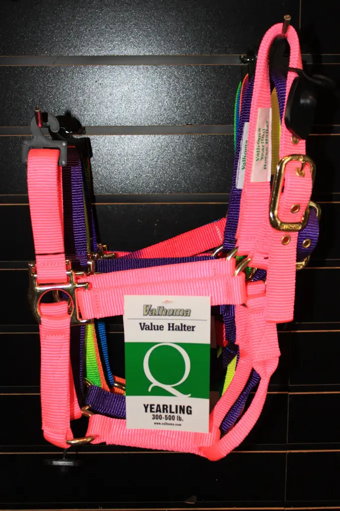 Valhoma Yearling Halter