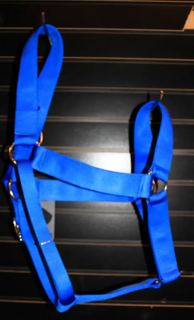 Valhoma Halter Draft Horse