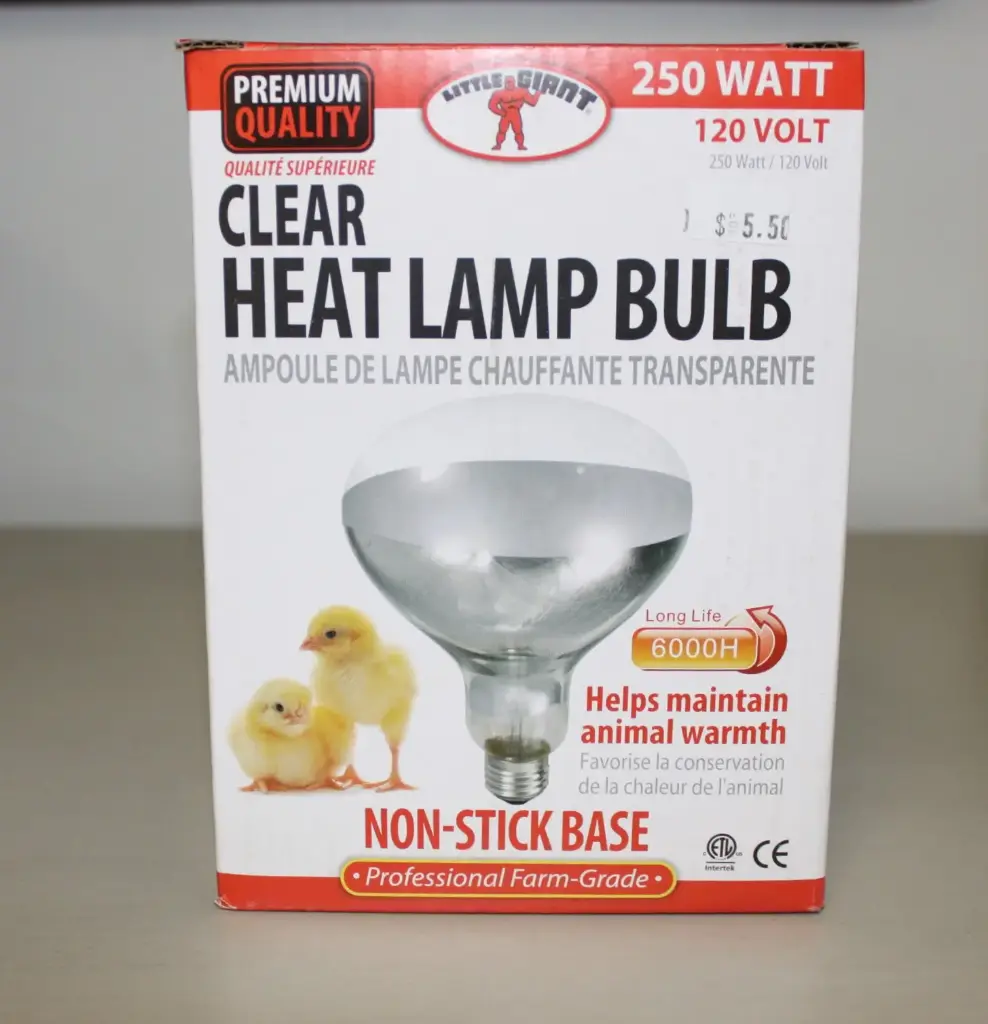 Heat Lamp Clear Bulb