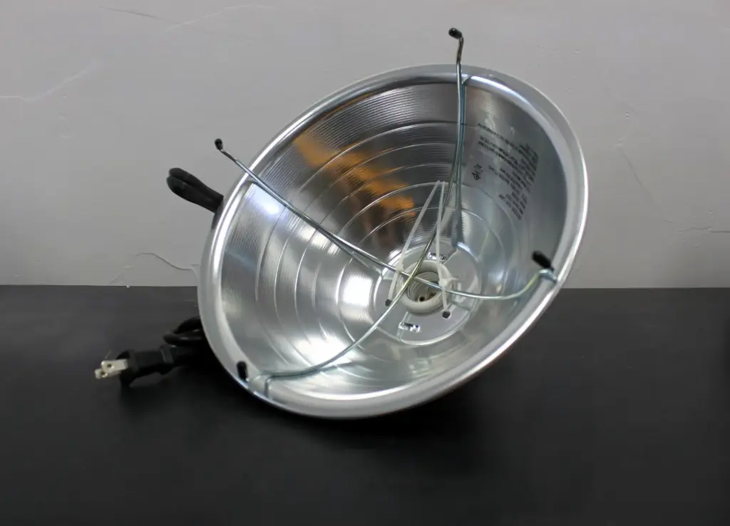 Brooder Lamp 